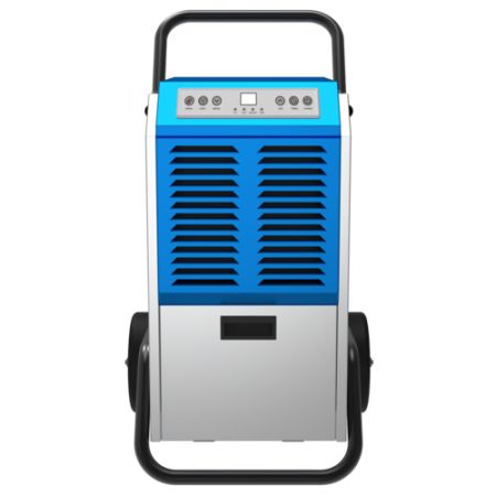 ����� ����